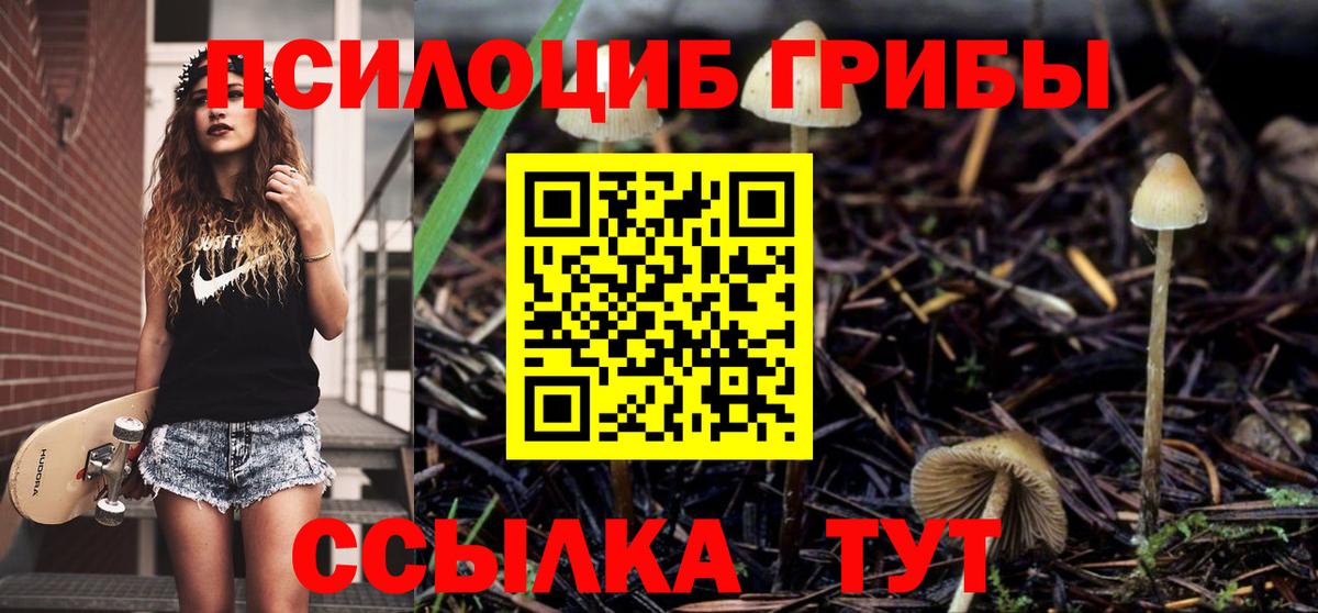 Кропоткин  Галлюциногенные грибы Magic Shrooms  Вход с VPN  Псилоцибиновые грибы прущие грибы 